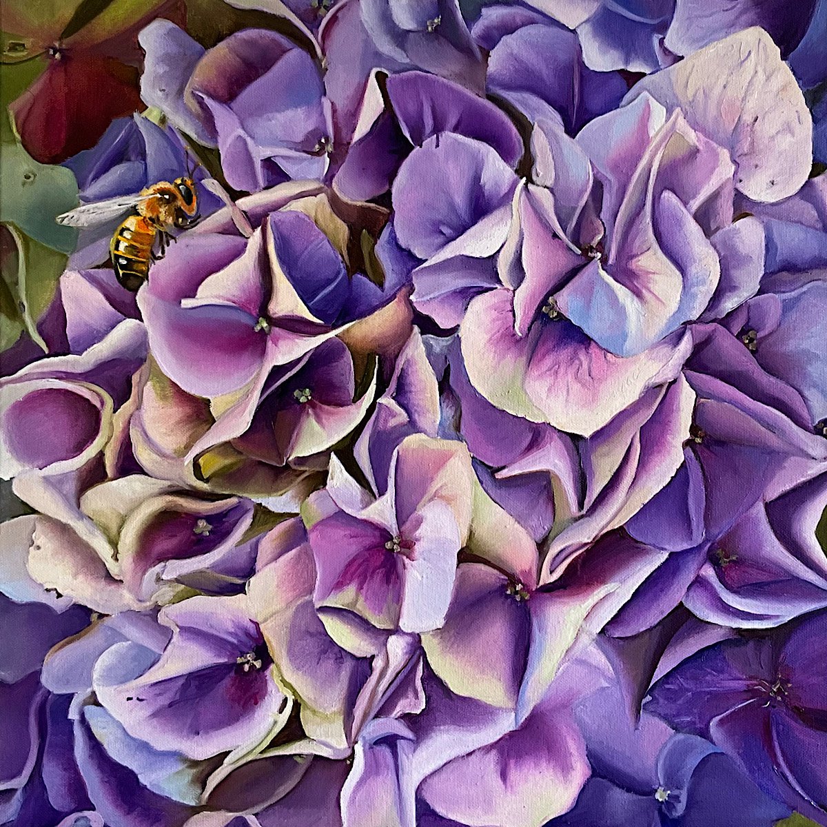Photorealistic Botanical Oil Painting By Natalia Lugovskaya, 20 X 20", Hydrangea. Fragment., Original Artwork