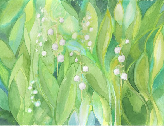Lilies of the valley - in the shade