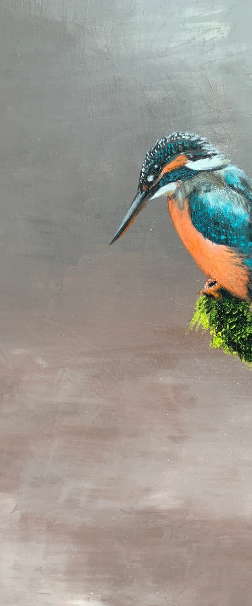 Kylie the Kingfisher by Laure Bury
