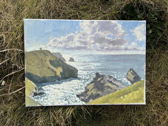 Boscastle from above