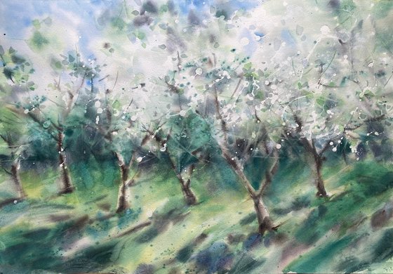 Spring Breathing