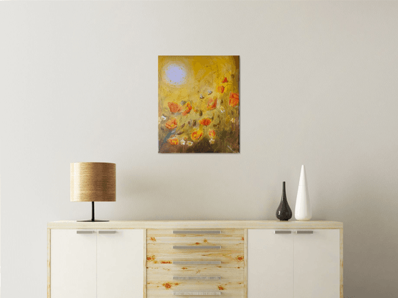 Californian Poppies