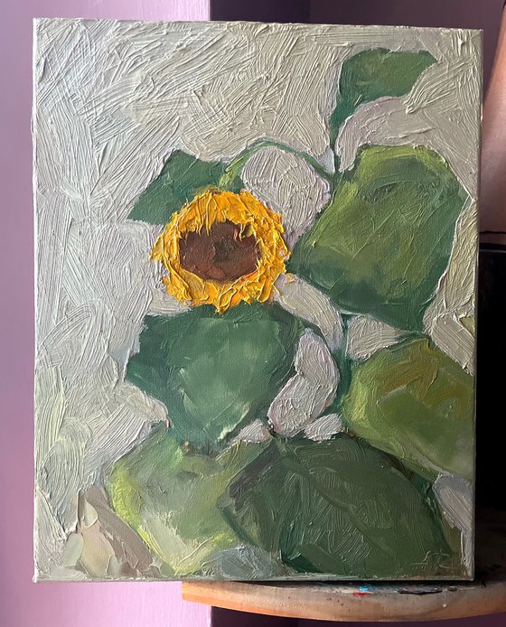 Sunflower study
