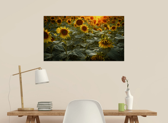 Golden Silence II – Field of Warmth