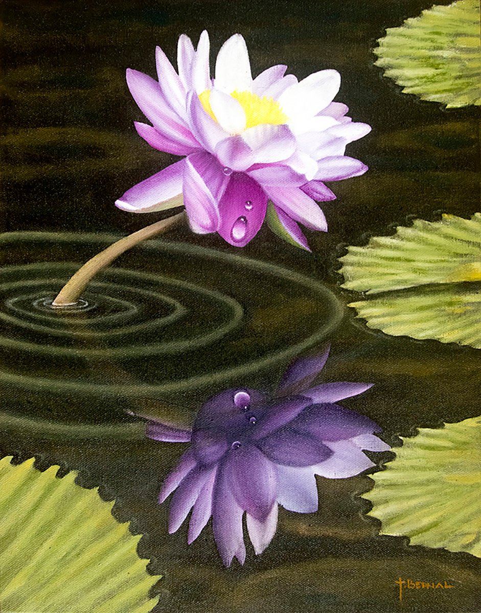 Photorealistic Botanical Oil Painting By Juan Bernal, 11 X 14", Purple Waterlily Reflections, Original Artwork