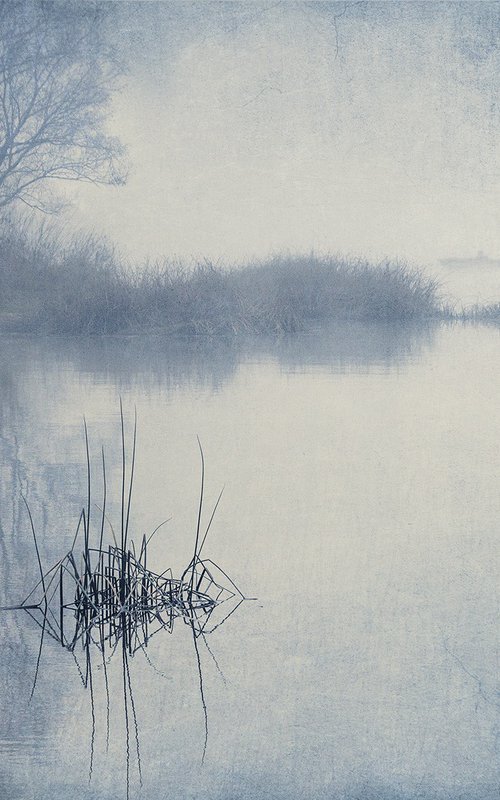 Morning mist. by Valerix