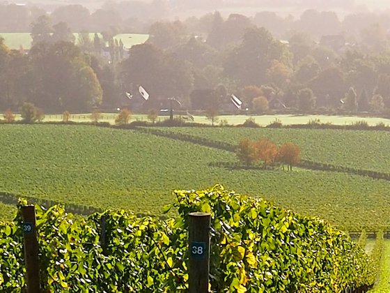 Exton Park in Autumn