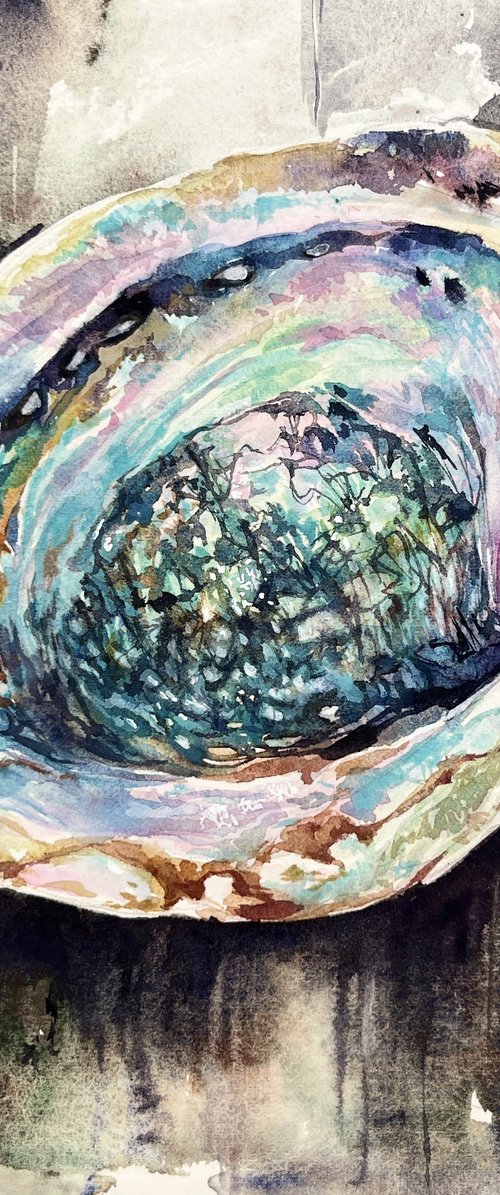 Abalone#4 by Larissa Rogacheva