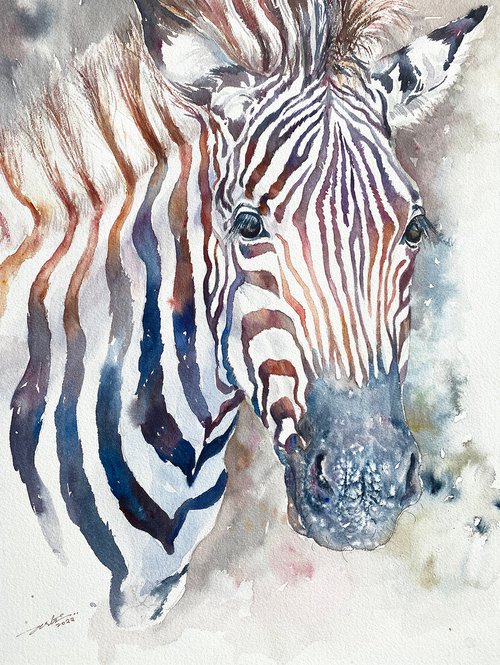 Zebra Zen by Arti Chauhan