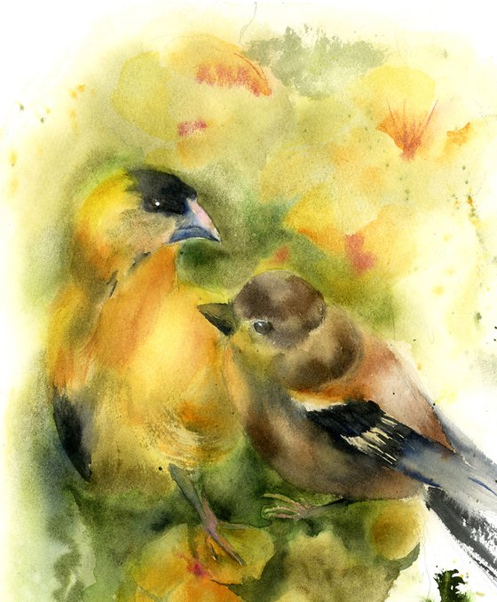 Birds in Love (3)