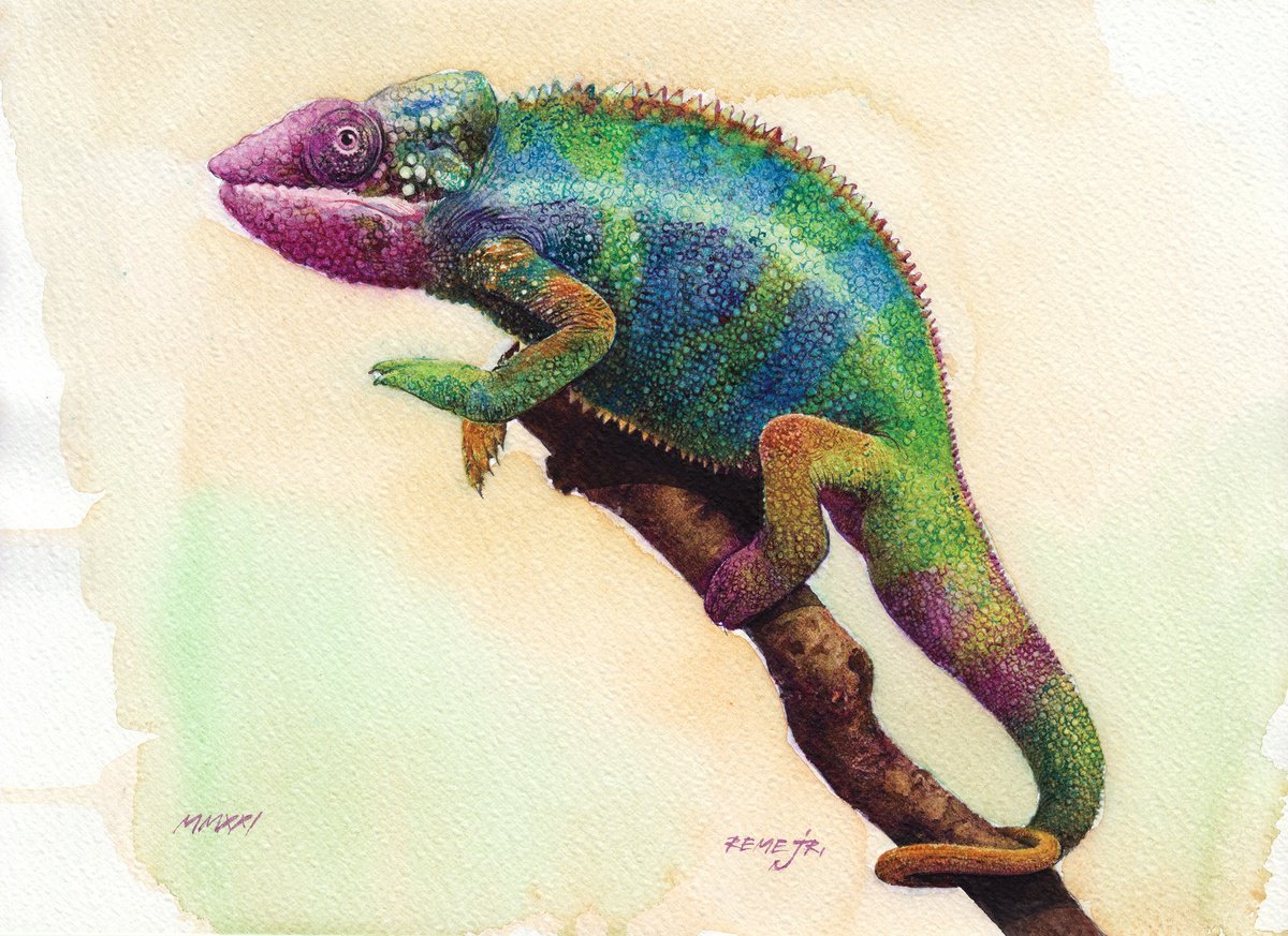 Photorealistic Animal Watercolour By Reme Jr., 14 X 10", Chameleon, Original Artwork