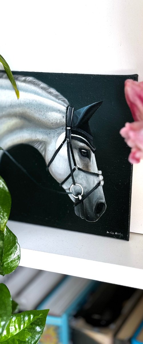 Horse Portrait 6 by Anastasia Parfilo