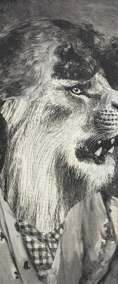 The Lion by Tudor Evans