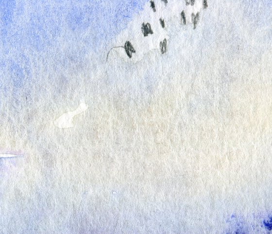Dance of the Lapwings
