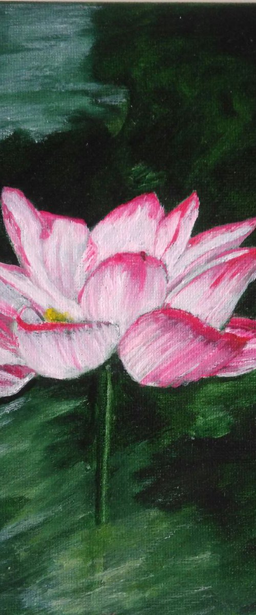 Lotus by Isabelle Lucas