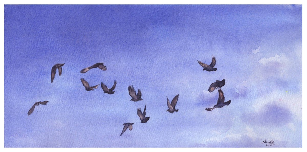 Flock of Pigeons by Shweta Mahajan