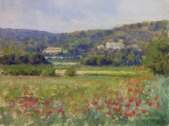 Poppies Field in The Luberon