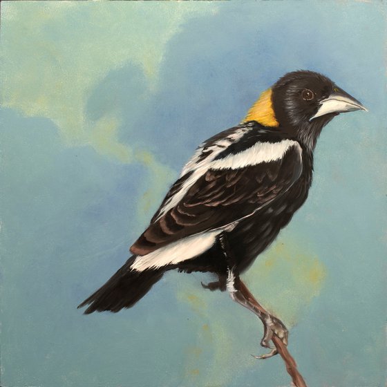 Bobolink