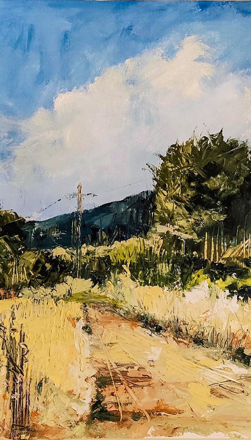 tuscany 26 by franco orsi