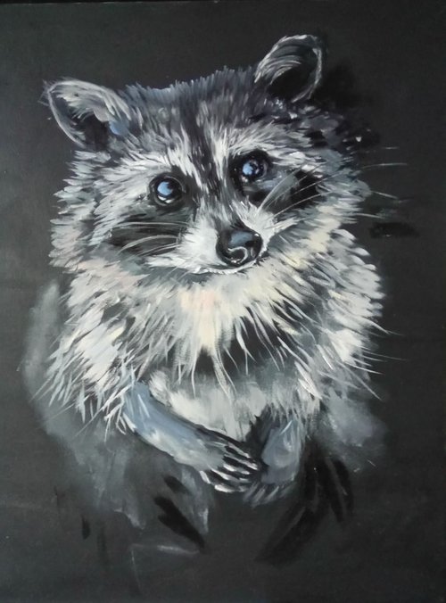 Shy raccoon by Valeriia Radziievska