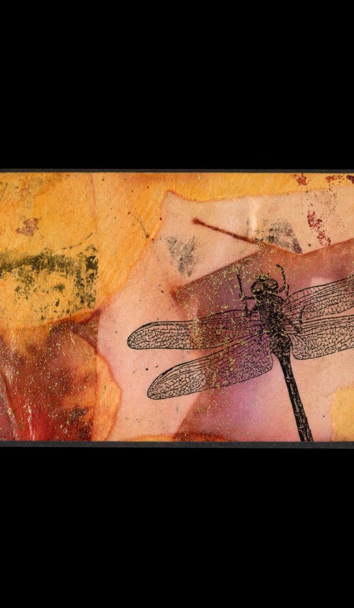 Dragonfly 66 by Kathy Morton Stanion