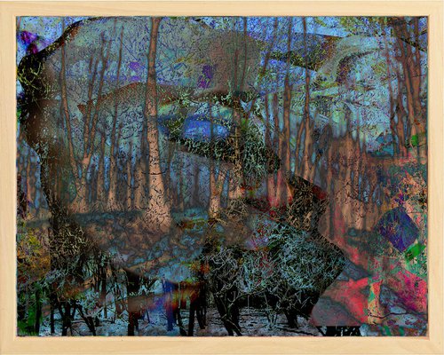 Dreamland Forrest I by Geert Lemmers FPA