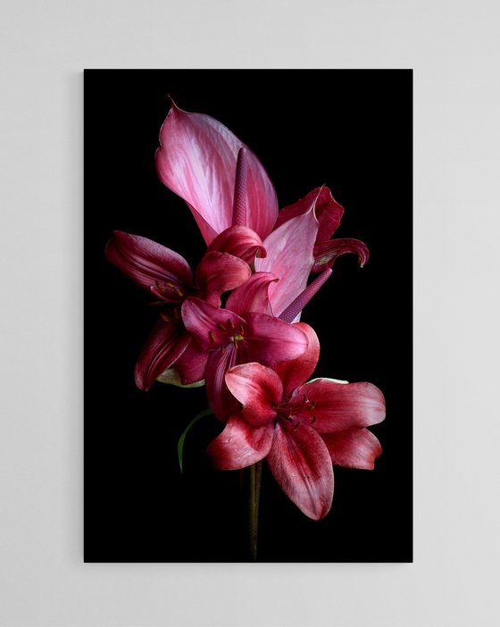 Anthurium and Lilies
