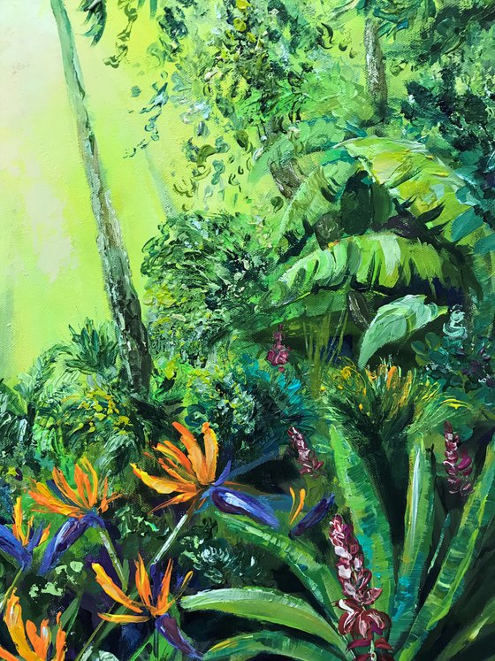 Jungle