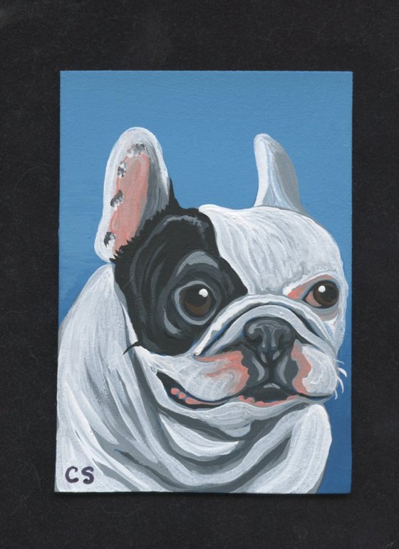 ACEO ATC Original Miniature Painting Pied French Bulldog Pet Dog Art-Carla Smale