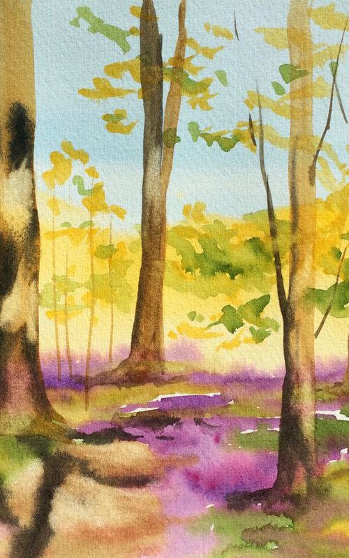 Bluebell walk by Silvie Wright