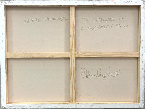 Mr. Cardinal In A Pre Dawn Glow