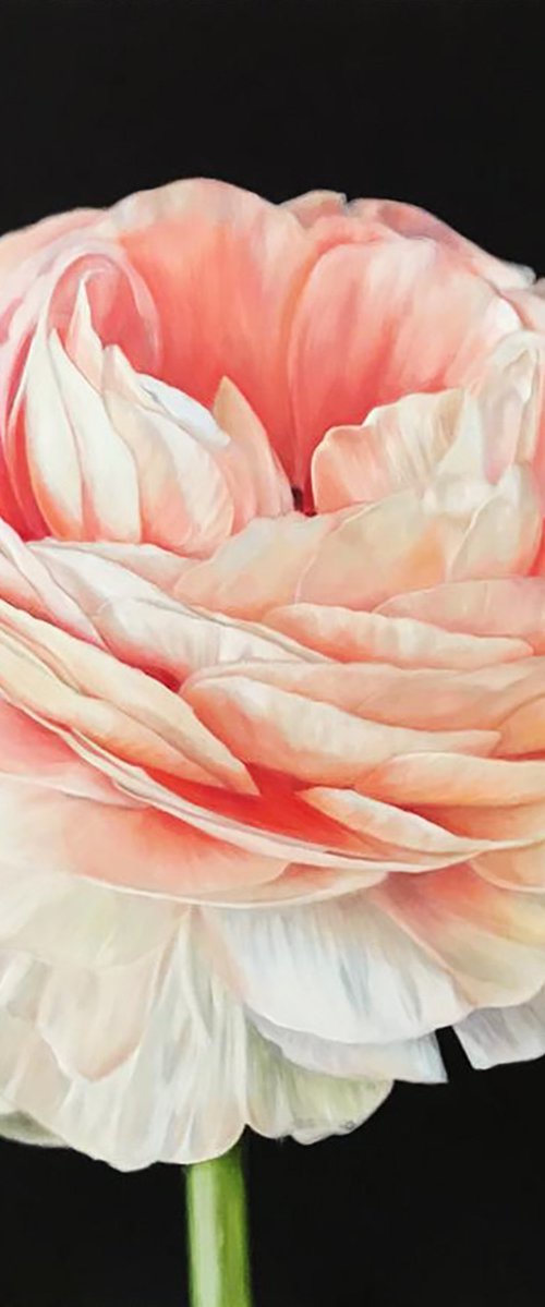 Large square painting with ranunculus 90*90 cm by Ivlieva Irina by Irina Ivlieva