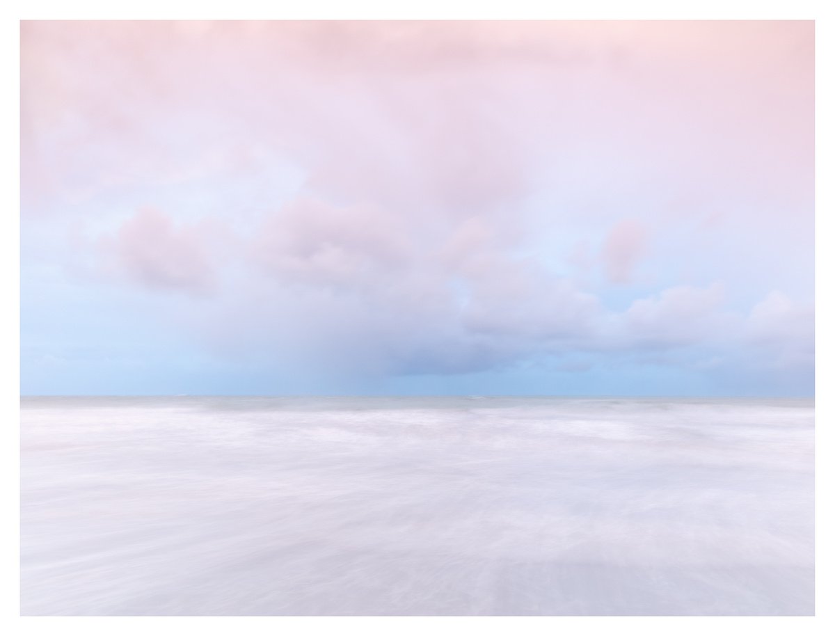 Sea Pinks I by David Baker