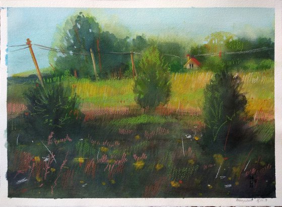 Lost Into the Fields