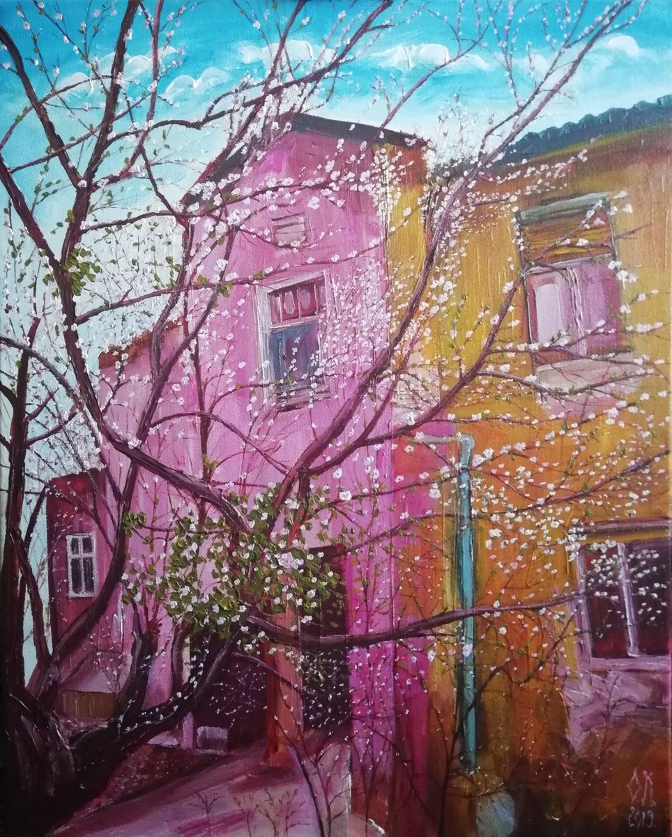 Spring is here by Olga Knezevic