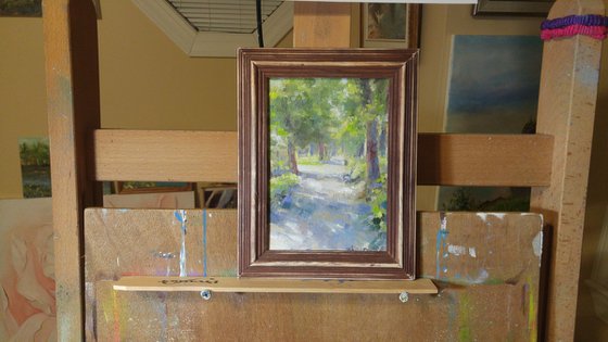 Sunny day, Public Gardens