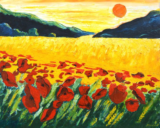 Red poppies in the sun