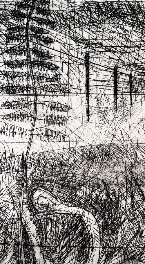 Terminal Frond Etching by Darren Jekel