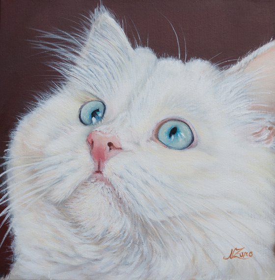 White cat portrait