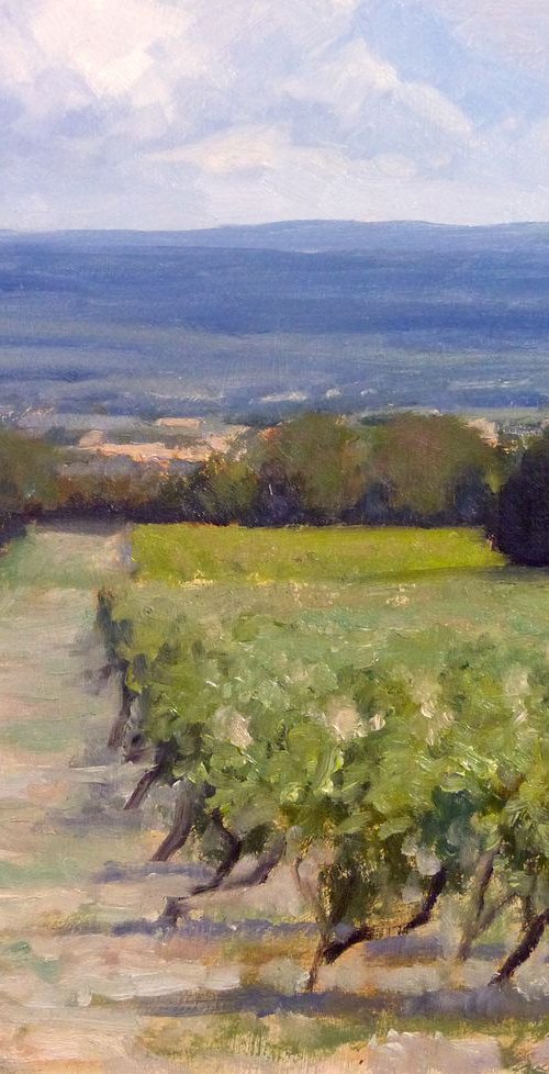 Vineyards near Joucas by Pascal Giroud