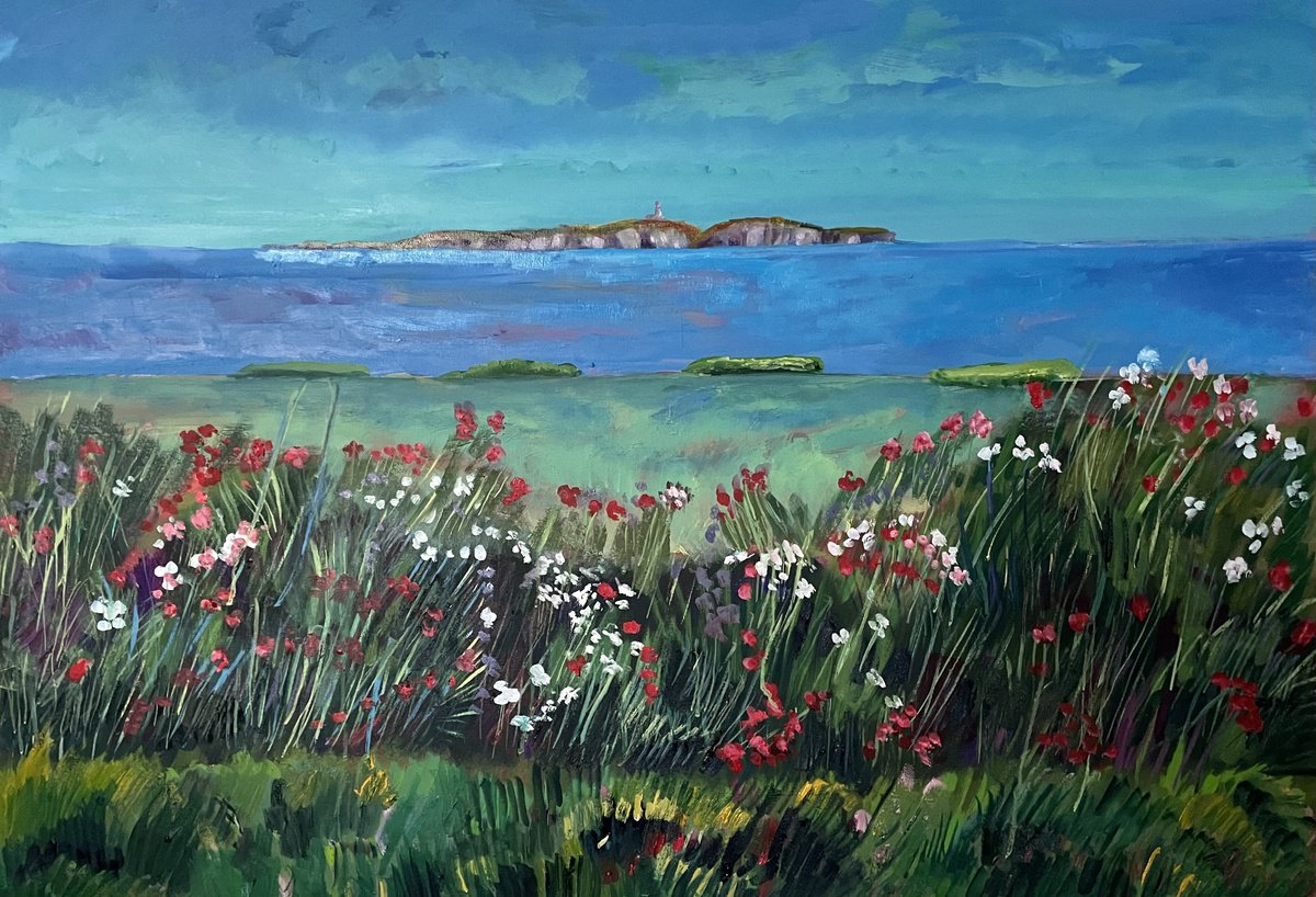 The Isle of May from Fife by Stephen Howard Harrison