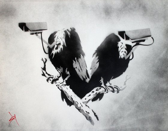 VULTURE SURVEILLANCE (BC).