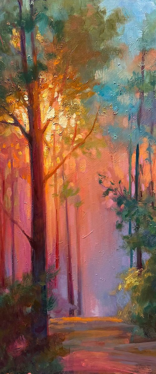 Mystery of Summer by Emily Lane