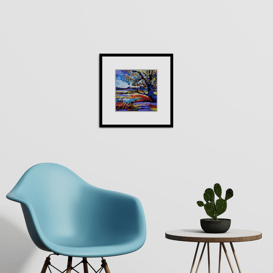 Old Tree by the Water