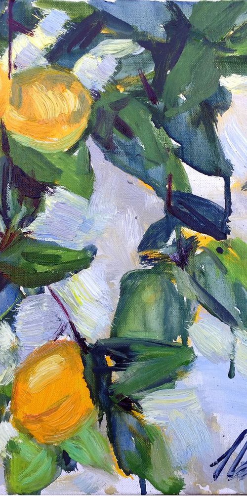 Apricot branch . Summer fruits original oil painting modern by Nataliia Nosyk