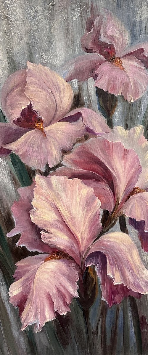 In the haze of flower dreams. Pink irises by Larisa Batenkova
