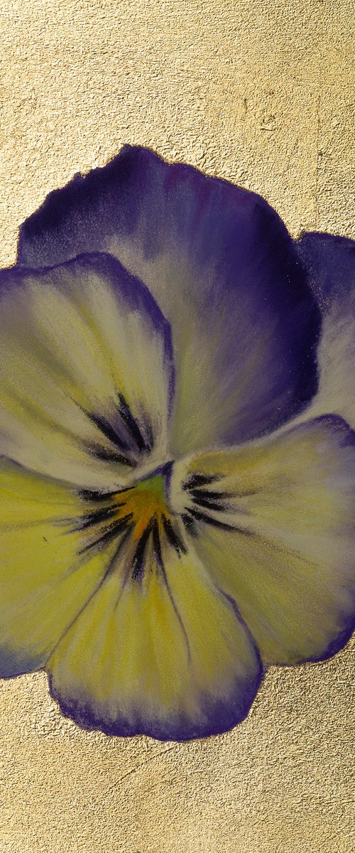 Pansy #18 by Oxana Babkina
