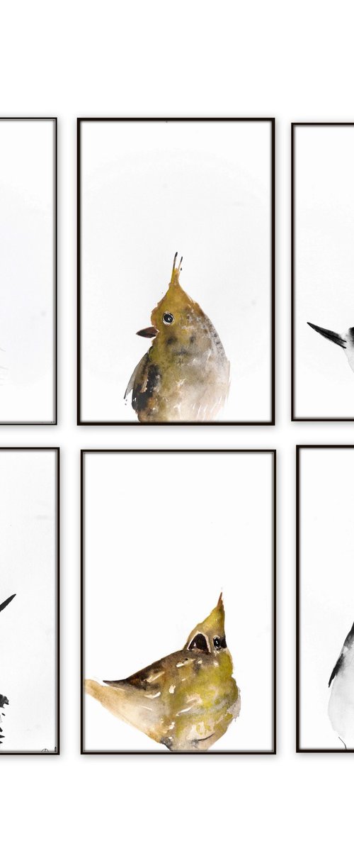 Set of 6 Bird paintings. by Nadia Moniatis