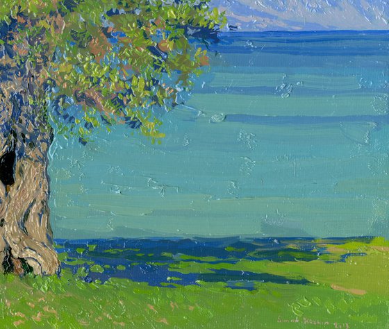 Olive tree on the Dassia