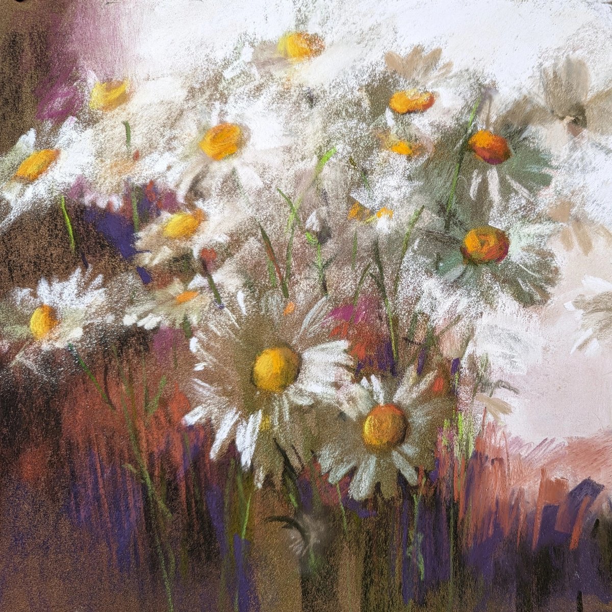 Daisies 2`24 by Silja Salmistu